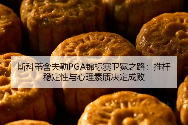 si-ke-di-she-fu-lei-jin-biao-sai-wei-mian-zhi-lu-tui-gan-wen-ding-xing-yu-xin-li-su-zhi-jue-ding-cheng-bai-2-609.jpg
