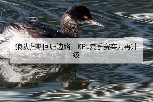 狼队归期回归边路，KPL夏季赛实力再升级